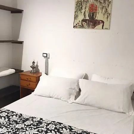Tortoloft *